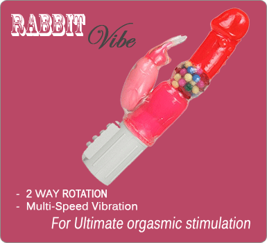 erotic rabbit vibrator